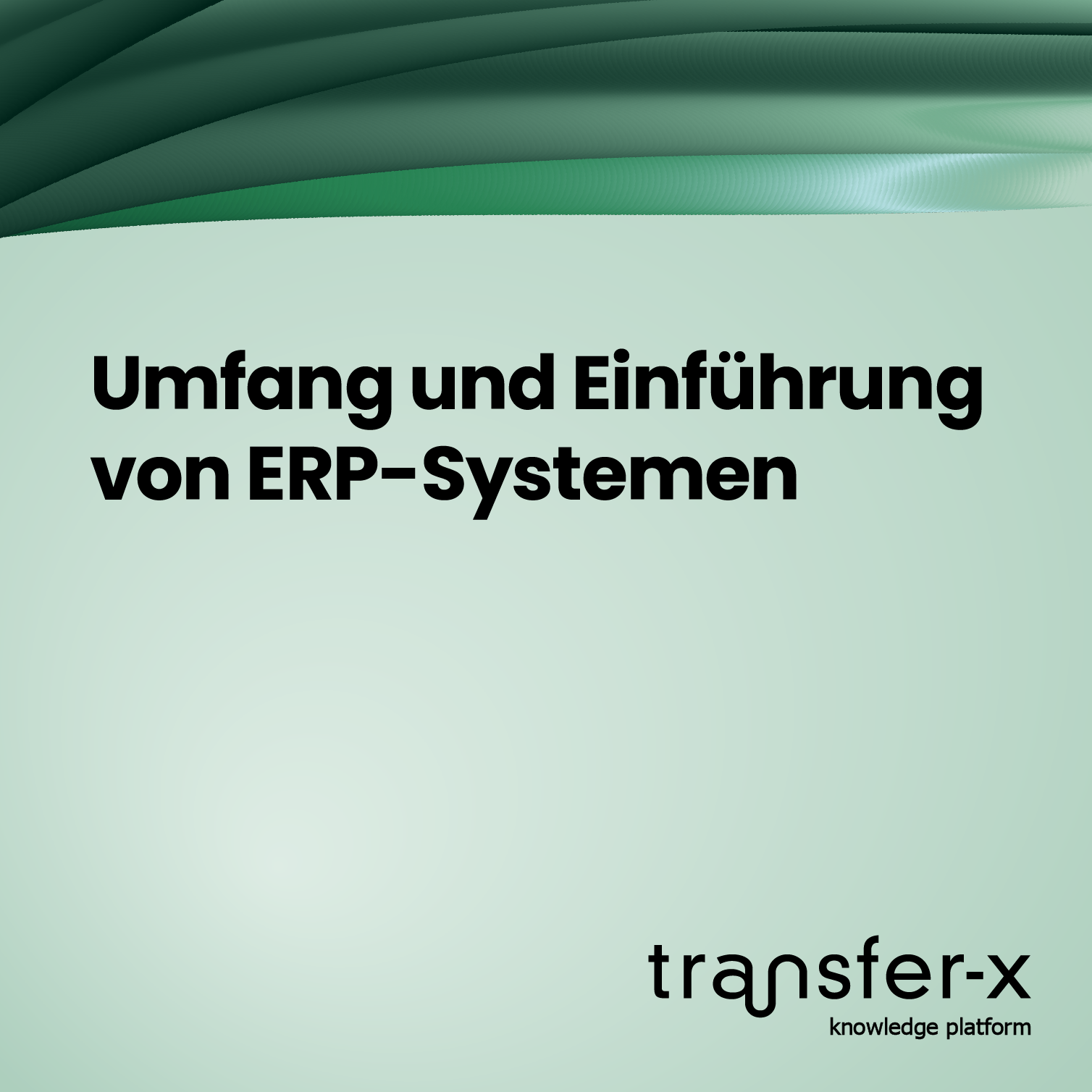 Öffnen Umfang und Einführung von ERP-Systemen
